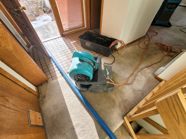 Best Crawl Space Water Damage Solutions in Millington, TN